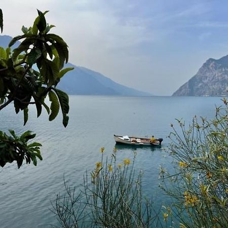 Ferienwohnung Alloggio Turistico Molu Gavazzo Nuova Exterior foto
