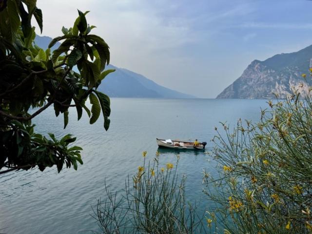 Ferienwohnung Alloggio Turistico Molu Gavazzo Nuova Exterior foto