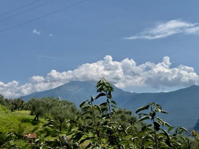 Ferienwohnung Alloggio Turistico Molu Gavazzo Nuova Exterior foto